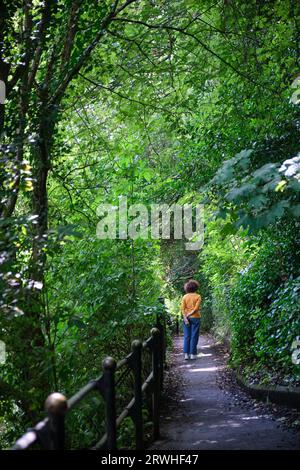 Individual walking in the Durham City river banks, a walk in nature in the city centre, River Wear, UK, popular student destination Stock Photo