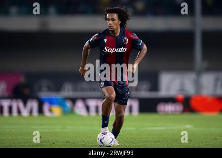 Joshua Zirkzee of Bologna FC in action during the Serie A football match between Hellas Verona FC and Bologna FC. Stock Photo