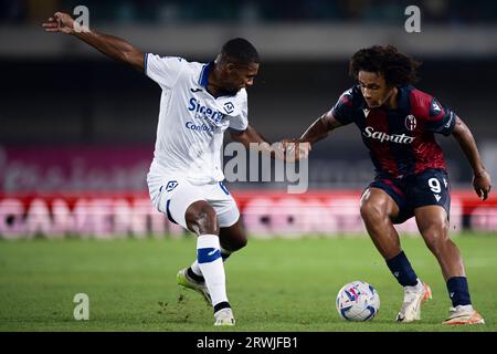 Joshua Zirkzee of Bologna FC competes for the ball with Isak Hien of Hellas Verona FC during the Serie A football match between Hellas Verona FC and Bologna FC. Stock Photo
