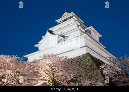 Night view of Tsurugajo Castle in bloom with cherry blossoms Stock Photo