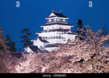 Night view of Tsurugajo Castle in bloom with cherry blossoms Stock Photo