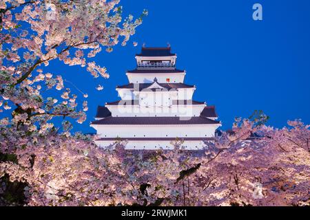 Night view of Tsurugajo Castle in bloom with cherry blossoms Stock Photo