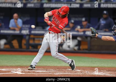 Los Angeles Angels' Brett Phillips fields a base hit by Texas Rangers'  Bubba Thompson during the xx inning of a spring training baseball game,  Saturday, March 18, 2023, in Tempe, Ariz. (AP