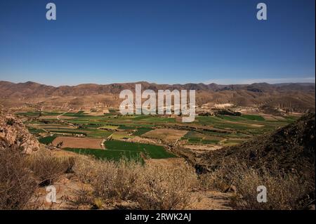 Beautiful landscape of Pampa Canahuas in Peru Stock Photo