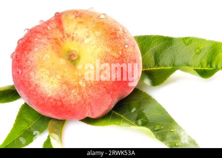 Mountain peach with leaves isolated Stock Photo - Alamy