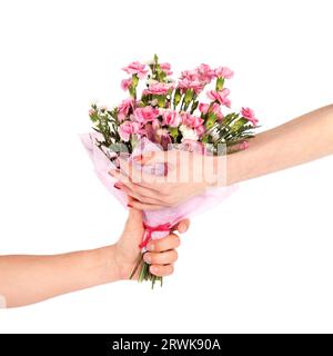 Female hands taking a bouquet of carnation flowers from male hand isolated on white Stock Photo