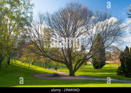 Royal Tasmania Botanical Gardens on a sunny spring day in Hobart, Tasmania, Australia Stock Photo