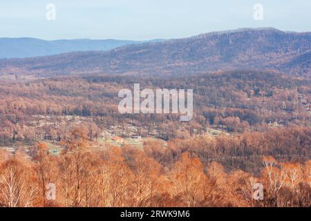 Devastated flora and fauna around Marysville after 2009 Black Saturday bushfires in Victoria, Australia Stock Photo