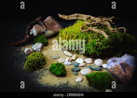 Green moss, stones, sand and crooked driftwood on a black background. Ecological background, copy space, place for text. Stock Photo