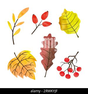 Autumn leaves and berries set. Vector watercolor leaf illustration Stock Vector