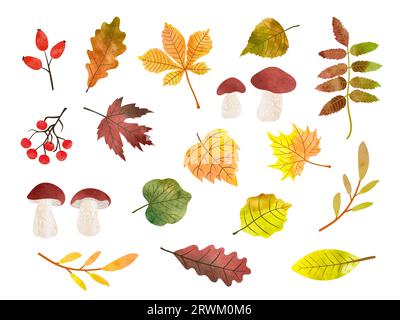 Big Autumn set with watercolor mushrooms, leaves and berries. Vector fall season collection Stock Vector