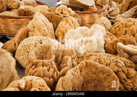 Close up view of various natural organic sea sponges in store in Greece. Stock Photo
