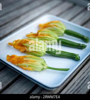 four zucchini flowers are delicately arranged on a white plate. The vibrant orange and light green blossoms gracefully transition into green stems, sh Stock Photo
