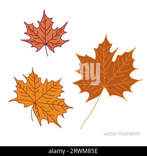 Vector set of hand drawn fall leaves of maple Stock Vector