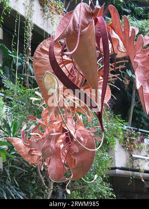 Suspended sculptures by Indian artist Ranjani Shettar in 'Cloud Songs on the Horizon' hanging above the exotic plants in the Barbican Conservatory. Stock Photo