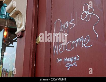 Cafe with Dogs Welcome sign ( but no wasps) ! - Horsemarket, Barnard Castle - County Durham, England, DL12 8LY Stock Photo