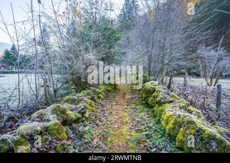 Path with Stones covered in Moss and Frost during Autumn Season - Hallstatt, Austria Stock Photo