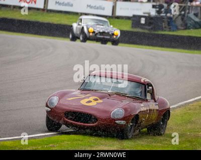 E Type Jaguar racing in the The Royal Automobile Club TT Celebration classic car race 2023 at the Goodwood Revival, West Sussex UK Stock Photo