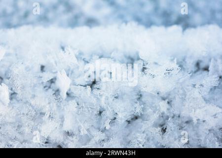 Cold winter background with many snowflakes hoar frost, Fresh snow background texture macro shot Stock Photo