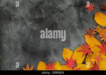 Thanksgiving day concept. Fall bright leaves on dark background. Flat lay, top view Stock Photo