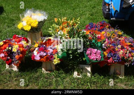 many varieties of fresh and dried flowers for sale at stall in outdoor flower market Stock Photo