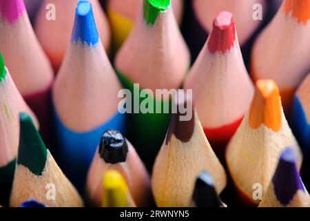 Sharpened colored pencils closeup on macro photo Stock Photo