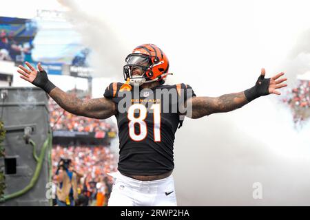 Cincinnati Bengals tight end Irv Smith Jr. (81) makes a catch during  practice at the team's NFL football training facility, Tuesday, June 6,  2023, in Cincinnati. (AP Photo/Jeff Dean Stock Photo - Alamy