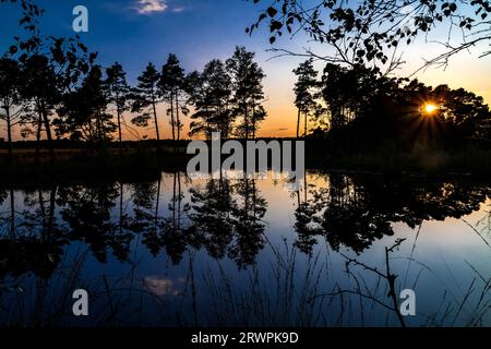 Pietzmoor (Pietz Bog) at Schneverdingen in the Lüneburg Heath, Lower Saxony, Germany Stock Photo