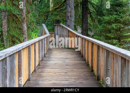 Wooden elevated walkway for black and grizzly bear observation site, Fish Creek, Tongass national forest, Alaska, USA. Stock Photo