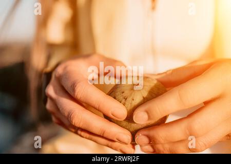 Woman's hands opening a fig to eat. Fresh ripe fig fruit in the hands. A young woman eats figs on the beach, near sea. Ficus carica, Fig - green Stock Photo