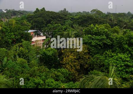 Arial view green forest photography from Ruhitpur, Bangladesh, on September 05, 2022 Stock Photo