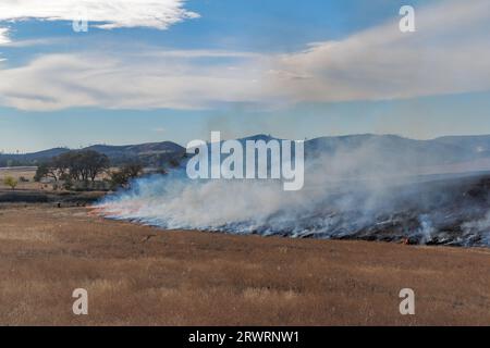 firefighters monitor a control burn in a large grass field in autumn Stock Photo