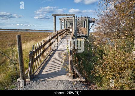 bird watching viewing tower in liminka bay finland 2rwrtjf