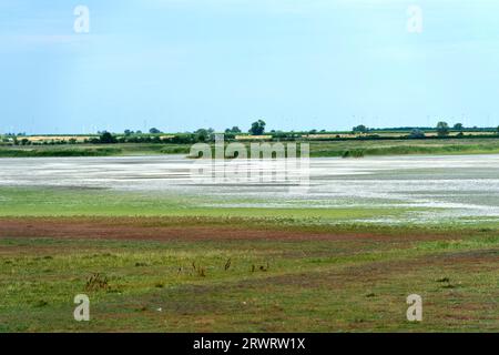 White salt crust on the Lange Lacke salt lake, Apetlon, Lake Neusiedl National Park, Seewinkel, Burgenland, Austria, Europe Stock Photo