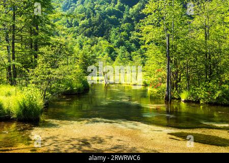 Tashiro Pond with Renge azalea in bloom Stock Photo