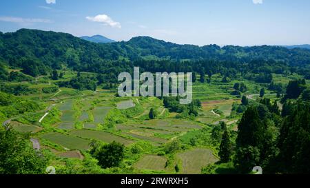 Rice Terraces at Hoshitoge in Niigata Stock Photo