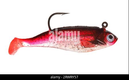 Rubber fishing lure and hook Stock Photo - Alamy