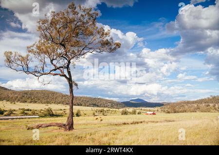 Rural landscape in the Hunter Valley near Muswellbrook in New South Wales, Australia, Oceania Stock Photo