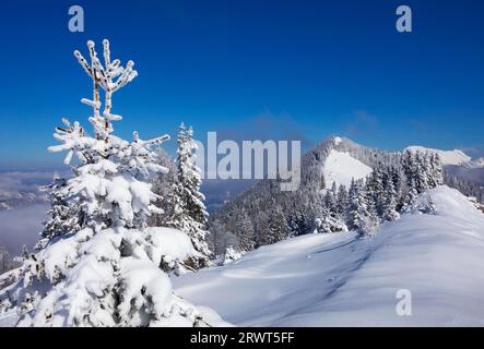 Winter landscape covered in deep snow in the Osterhorn group with a view from Pillstein to Zwölferhorn, Sankt Gilgen am Wolfgangsee, Salzkammergut, La Stock Photo