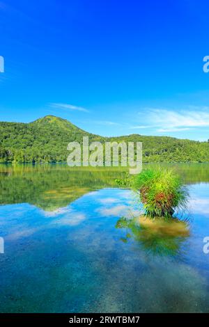 Onuma Pond and Mt. Shiga and rocks with wet vegetation Stock Photo