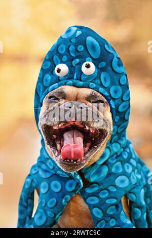 Funny French Bulldog dog with octopus Halloween costume  making a spooky face Stock Photo