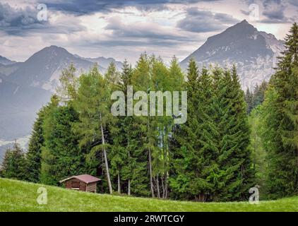 Alpine Hut with tall trees & mountains in Reith im Alpbachtal, Tyrol, Austria. Stock Photo