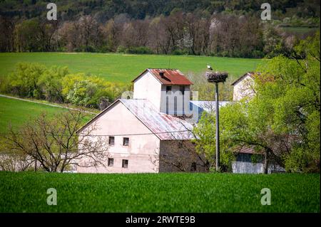 Farm landscape and stork in the nest, beautiful spring photo with green meadows and blooming flowers Stock Photo