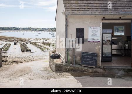 Oyster for sale direct from the cultivator, Les Huitres de Sterec,  in Terenez in Brittany, France. Stock Photo