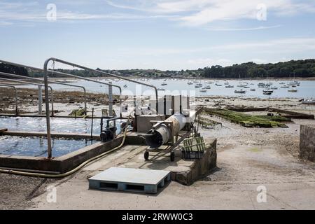 Oyster racks equipment on the shore at low tide in the Anse de Terenez in Brittany, France. Stock Photo