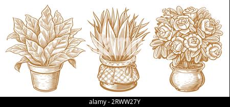 Indoor plants and flowers in flower pots. Hand drawn sketch vintage vector illustration Stock Vector