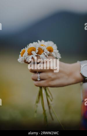 Woman Holding a Bouquet of Daisies Stock Photo - Alamy
