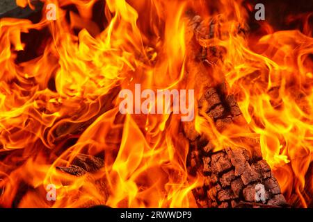 Wall of orange and yellow flames with barely visible wooden logs in intense fire Stock Photo