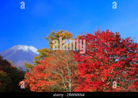 Fuji And Lake Yamanakako Autumn Color Stock Photo