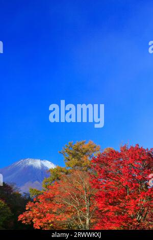 Fuji And Lake Yamanakako Autumn Color Stock Photo